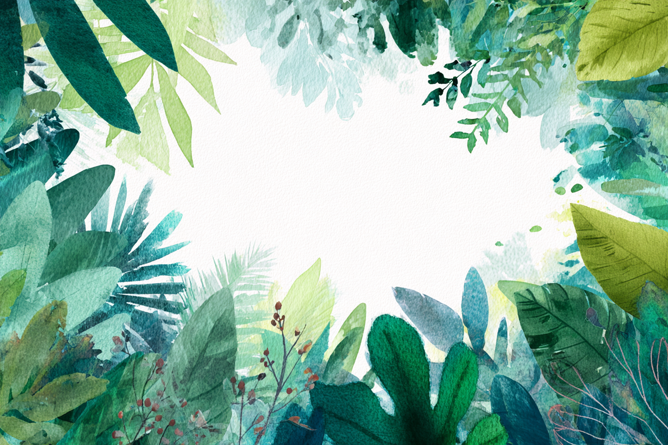 Artisan Spice & Herb Watercolor Collection